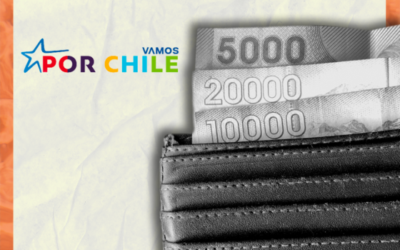 La declaración de patrimonio de los constituyentes de Vamos por Chile