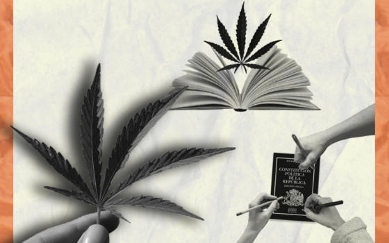 Mirada Constitucional sobre la propuesta para consagrar el cannabis en la nueva Constitución