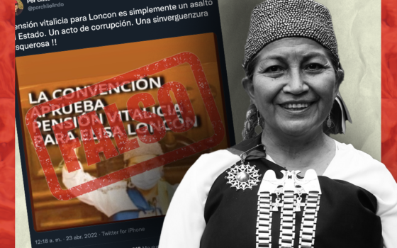 Es falso que la constituyente Elisa Loncon recibirá una pensión vitalicia